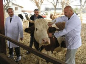 Kurbancılar Dikkat!!