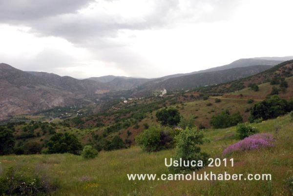 Usluca