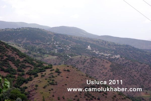 Usluca