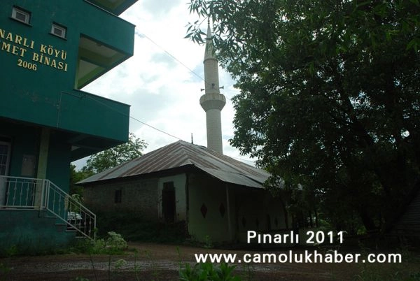 Pınarlı
