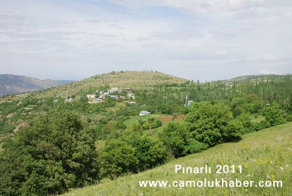 Pınarlı