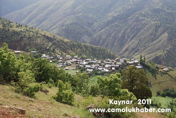 Kaynar