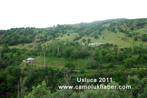 Usluca