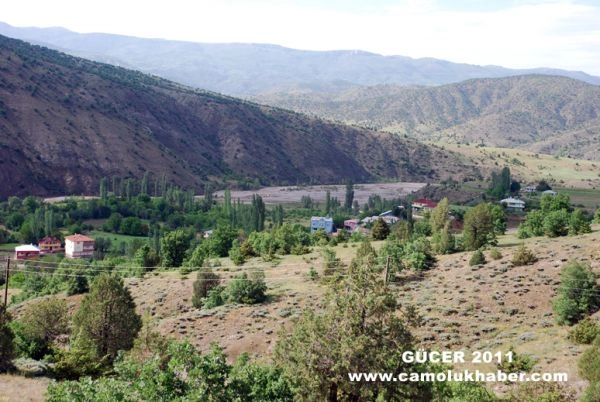 Gücer