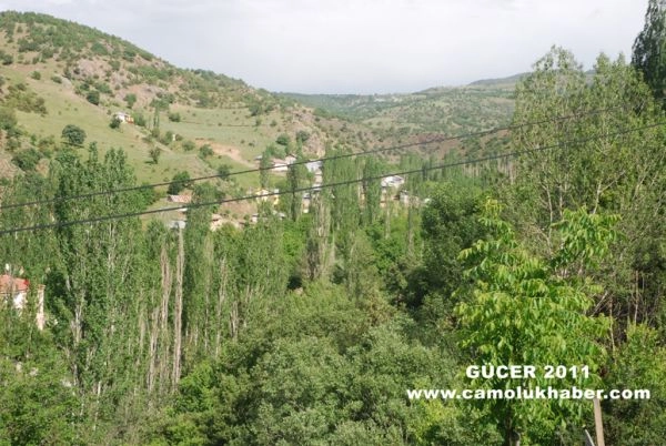Gücer