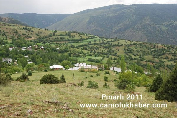 Pınarlı