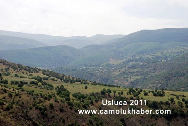 Usluca