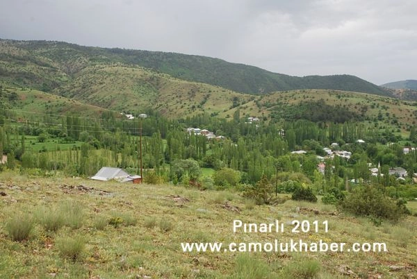 Pınarlı