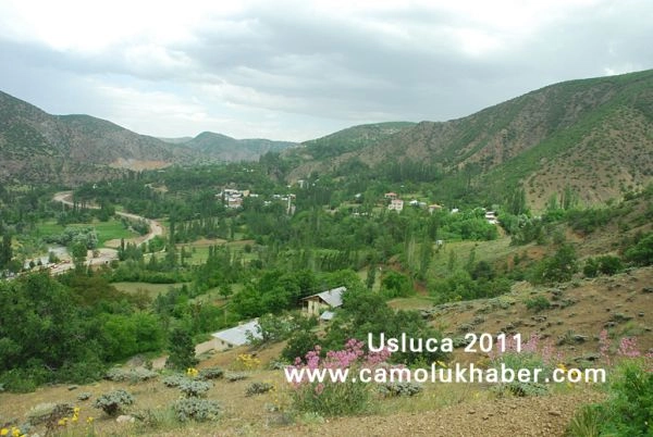 Usluca
