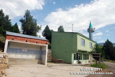 Gücer