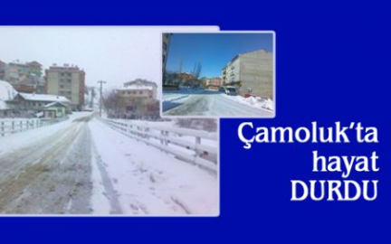  Çamoluk’ta Hayat Durdu