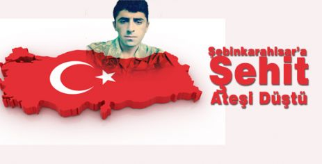Şebinkarahisar'a Şehit Ateşi Düştü!