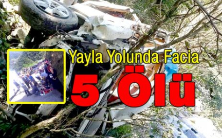 Yayla Yolunda Facia 5 Ölü