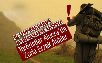 Alucra'da Teröristler Erzak Aldılar