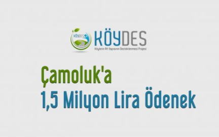 Çamoluk'a 1,5 Milyon Lira Ödenek