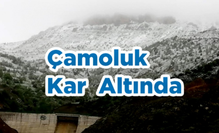 Çamoluk' Kar  Altında