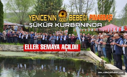 Yenice Pınarbaşı Şükür Kurbanında Eller Semaya Kalktı!