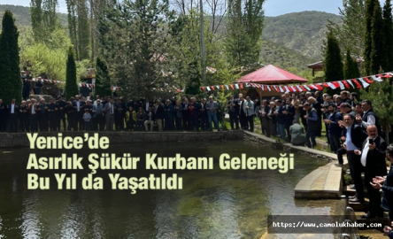 YENİCE'DE ASIRLIK ŞÜKÜR KURBANI GELENEĞİ BU YIL DA YAŞATILDI