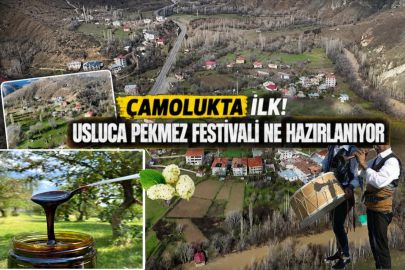 ÇAMOLUK'TA BİR İLK: USLUCA KÖYÜ PEKMEZ FESTİVALİ'NE HAZIRLANIYOR!
