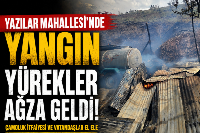Çamoluk'ta çıkan yangın korkuttu.