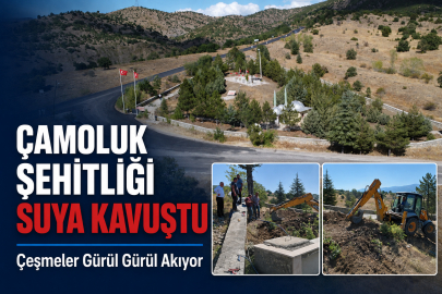 Teşekkürler! Çamoluk Şehitliği'nin Susuzluk Hasreti Son Buldu