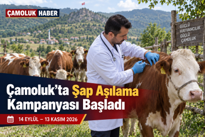 Çamoluk’ta Şap Aşılama Kampanyası Başladı